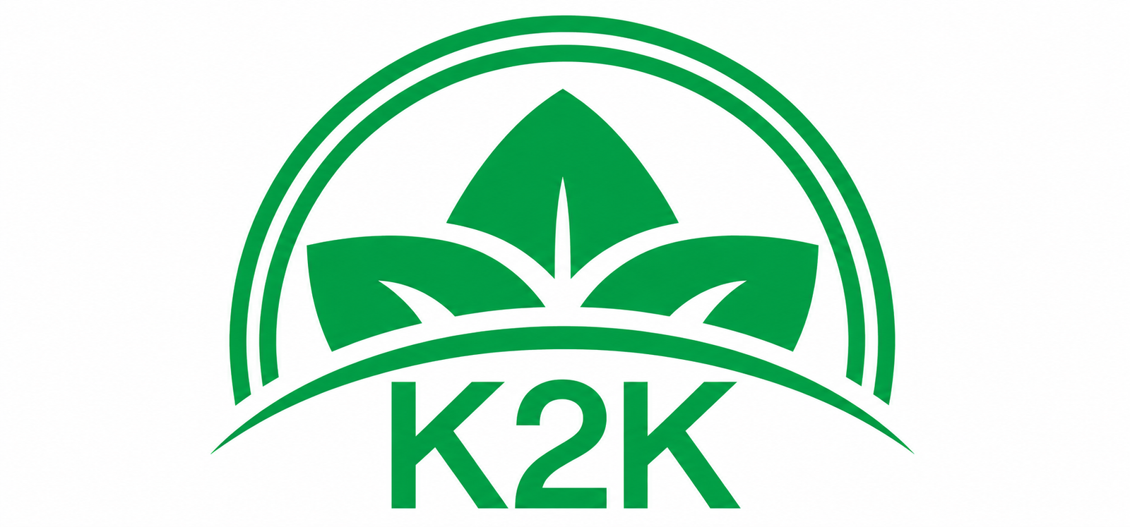 K2K